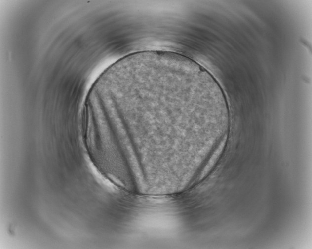 X0000102541152200808291836