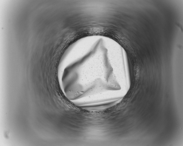 X0000102541153200808291836