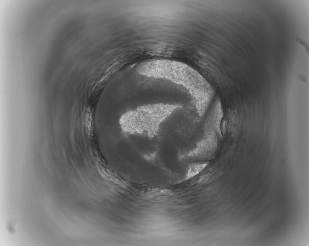 X0000102541154200808291836