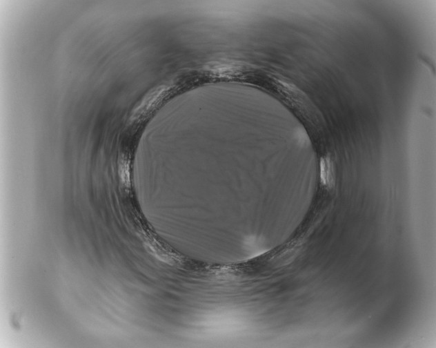 X0000102541155200808291836