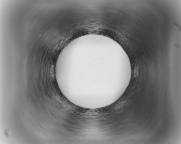 X0000102541156200808291836