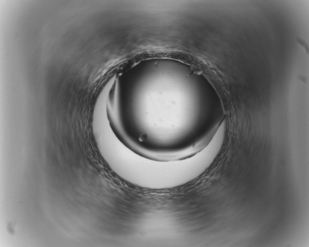 X0000102541157200808291836