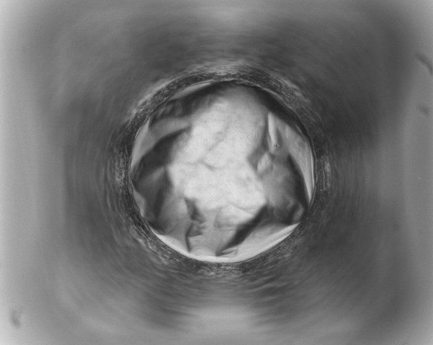 X0000102541158200808291836