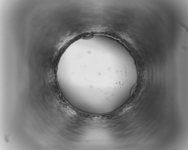 X0000102541160200808291836