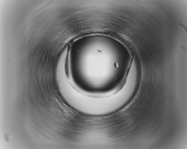 X0000102541161200808291836