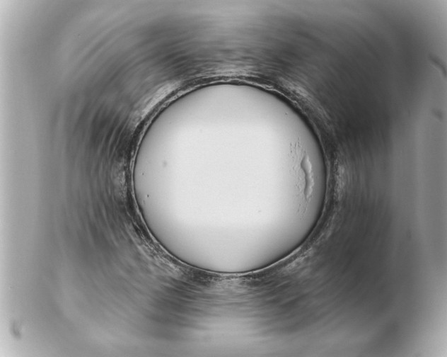 X0000102541162200808291836