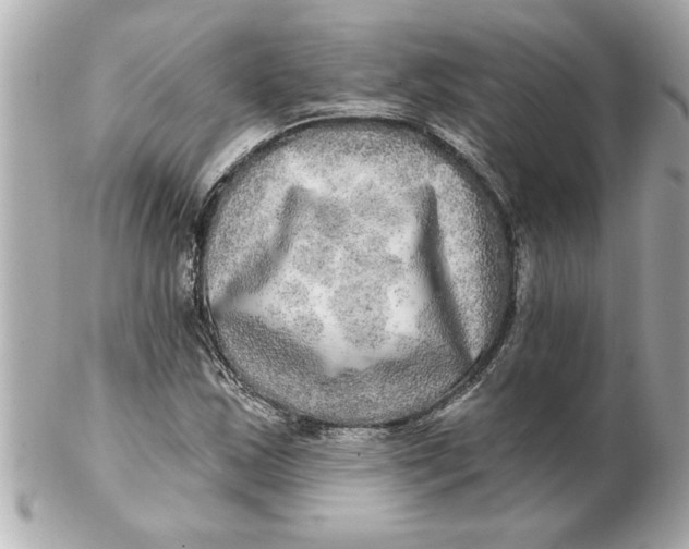 X0000102541163200808291836