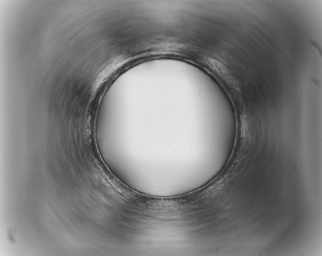 X0000102541164200808291836