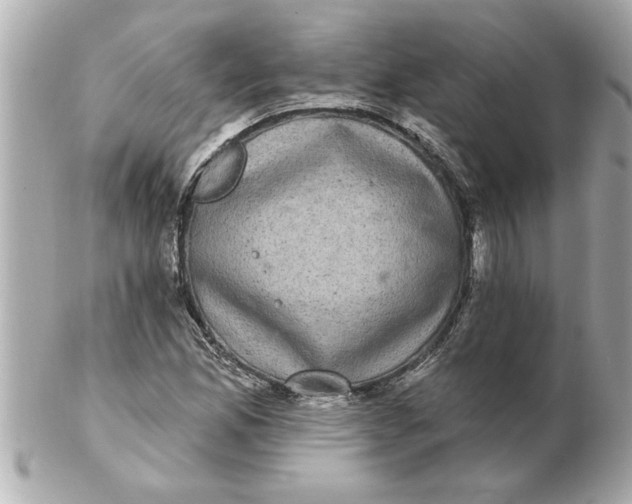 X0000102541165200808291836