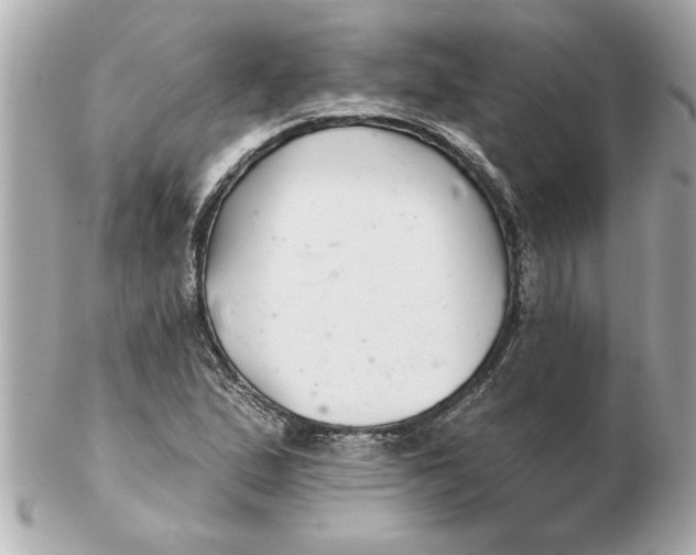 X0000102541167200808291836