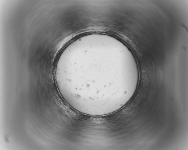 X0000102541168200808291836