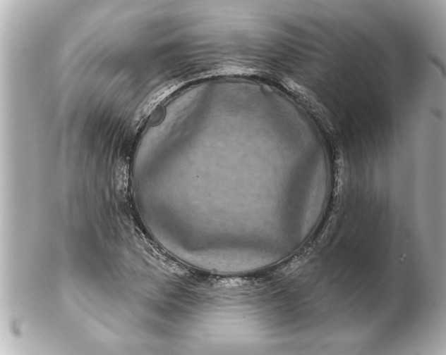 X0000102541169200808291836