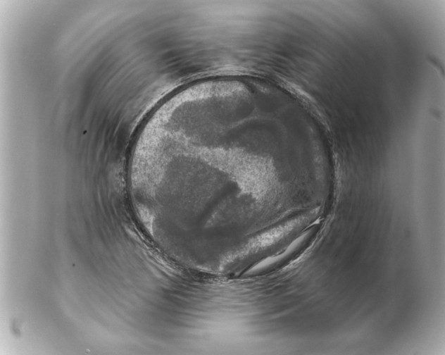 X0000102541170200808291836