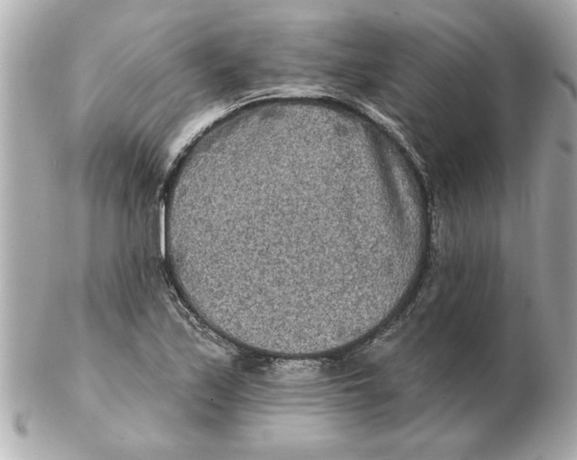 X0000102541171200808291836