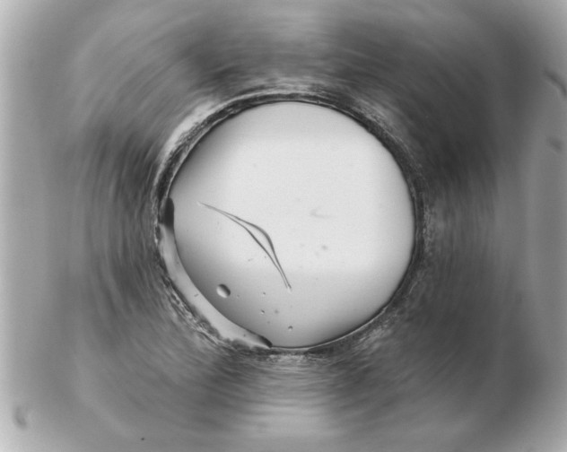 X0000102541172200808291835