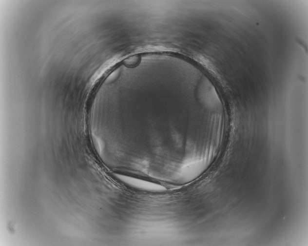 X0000102541173200808291835