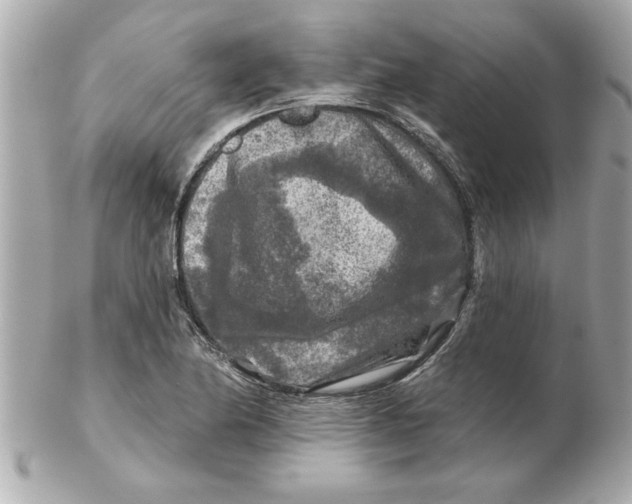 X0000102541174200808291835