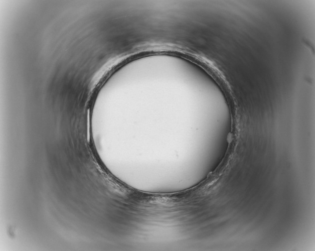 X0000102541175200808291835