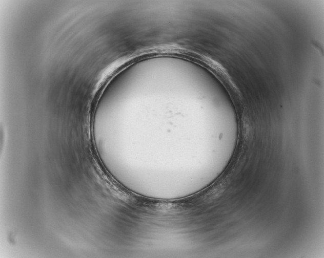 X0000102541176200808291835