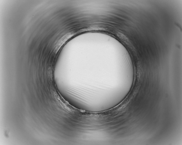 X0000102541177200808291835