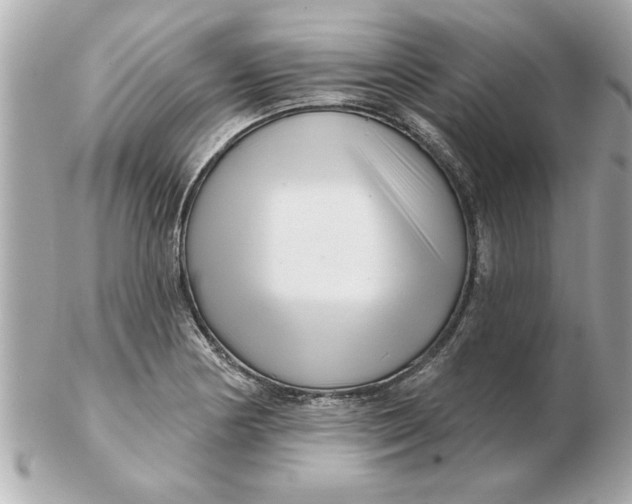 X0000102541178200808291835