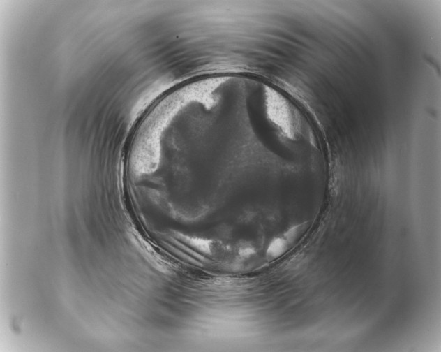 X0000102541179200808291835