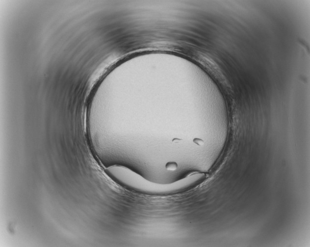 X0000102541180200808291835