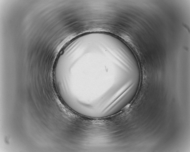 X0000102541181200808291835