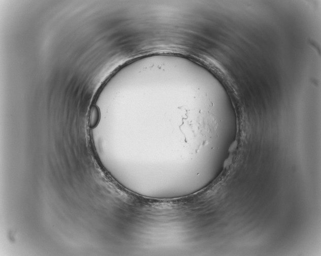 X0000102541182200808291835