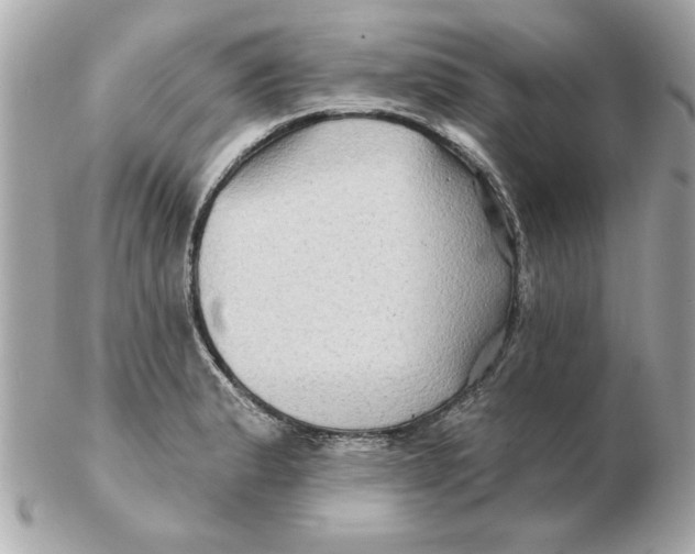 X0000102541183200808291835