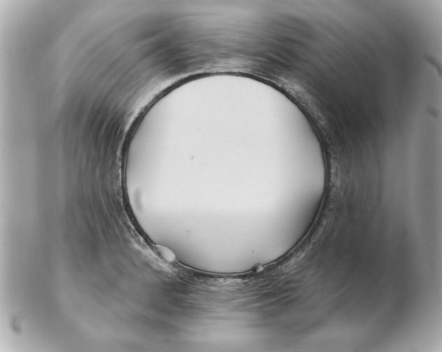 X0000102541184200808291835