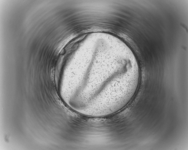 X0000102541185200808291835