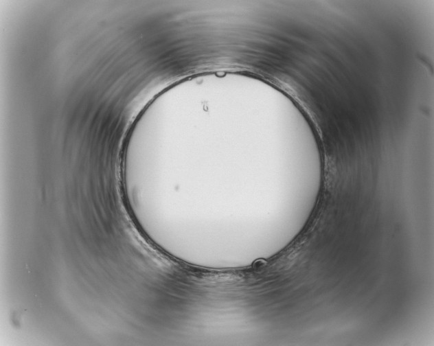 X0000102541187200808291835