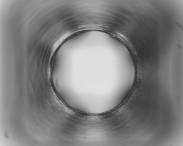 X0000102541188200808291835