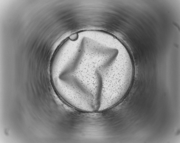 X0000102541189200808291835