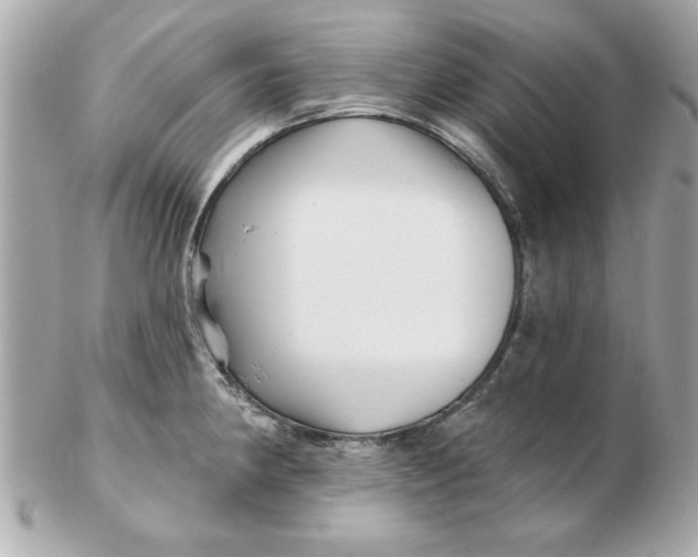 X0000102541190200808291835