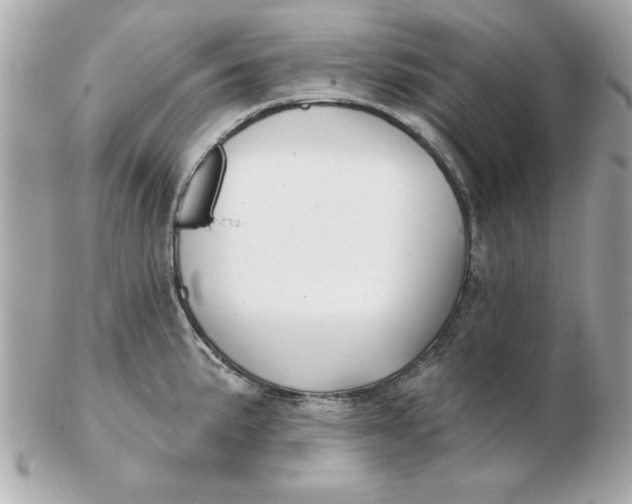 X0000102541191200808291835