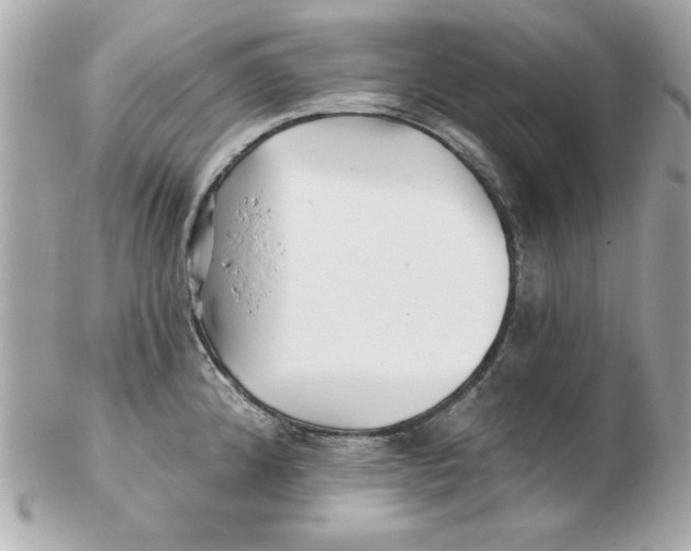 X0000102541192200808291835