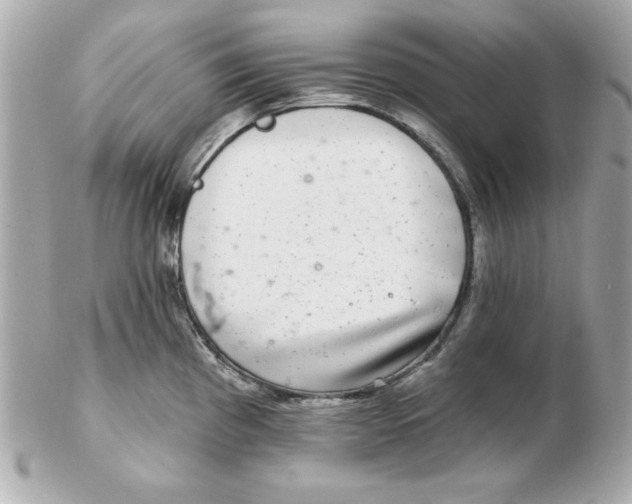 X0000102541193200808291835