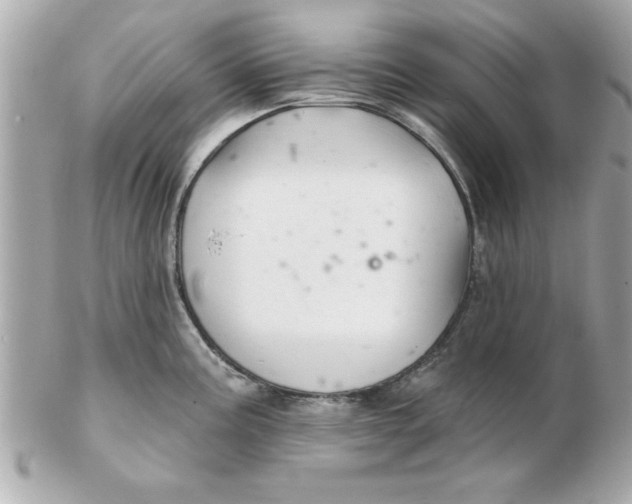 X0000102541195200808291835