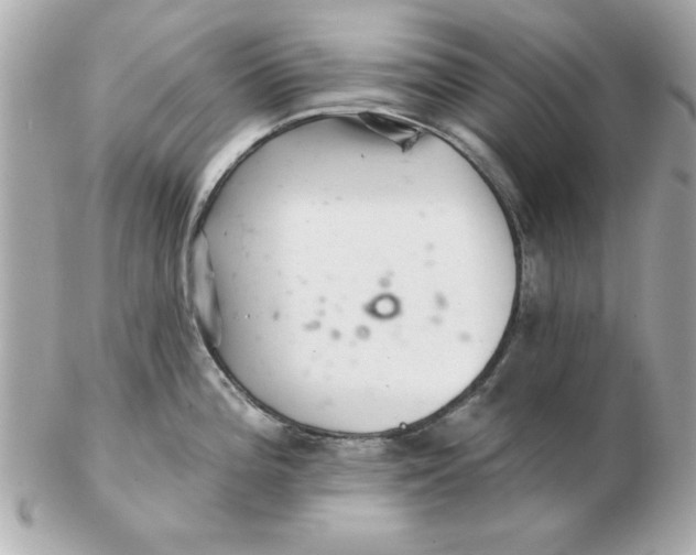 X0000102541196200808291835