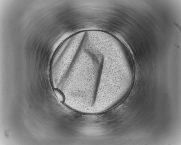 X0000102541197200808291835