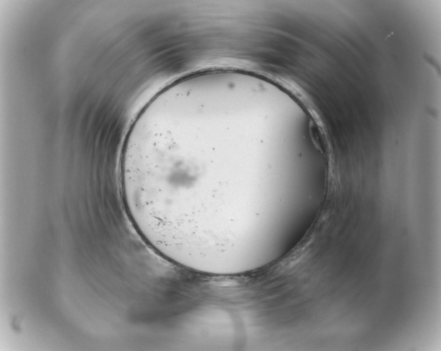 X0000102541199200808291835