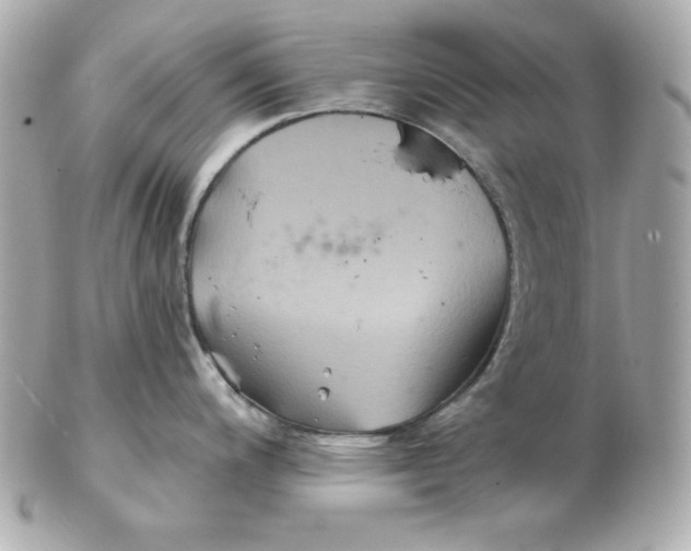 X0000102541200200808291835