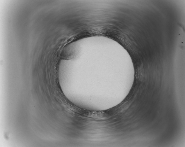 X0000102541201200808291834