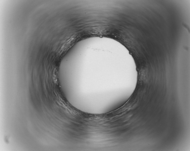 X0000102541202200808291834