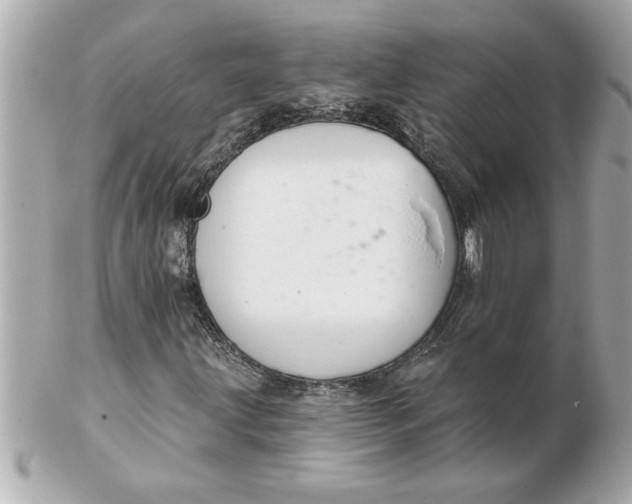 X0000102541203200808291834