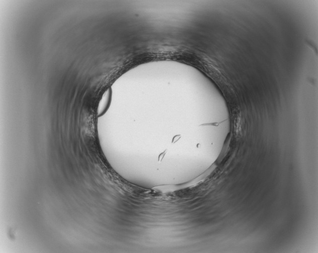 X0000102541204200808291834