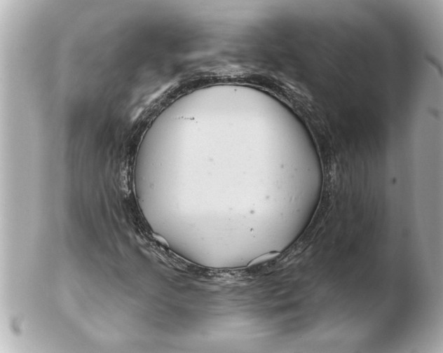 X0000102541205200808291834