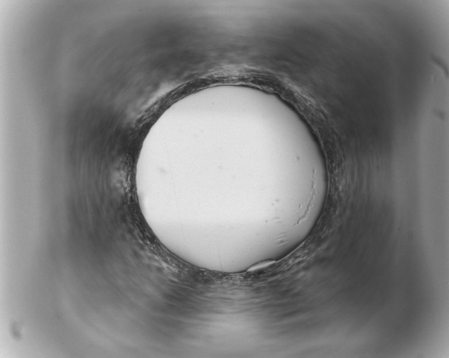 X0000102541206200808291834